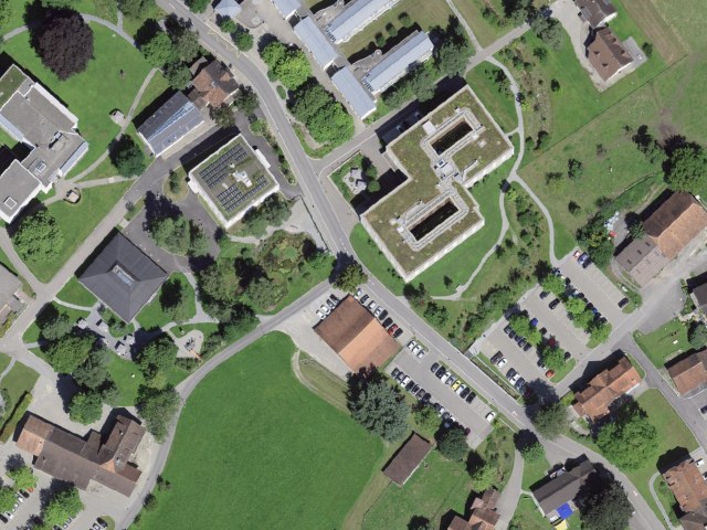 Senderismo fácil desde Littenheid por Langenauwald