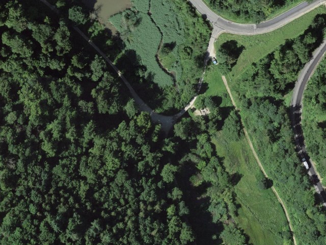 Talweiher – Wenslingen