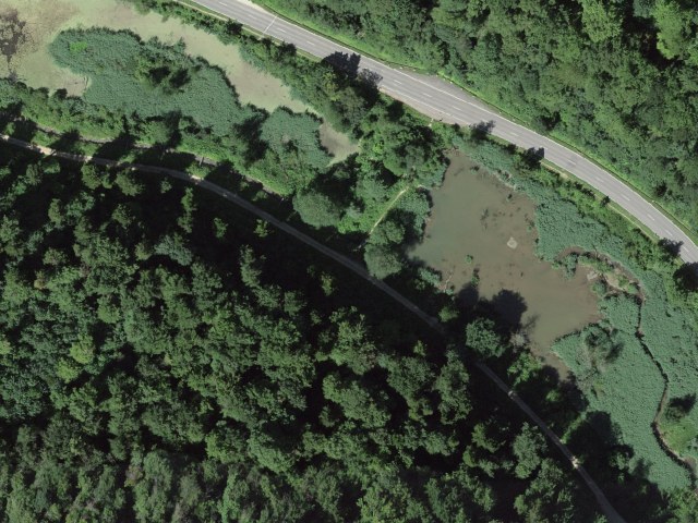 Talweiher – Rothenfluh