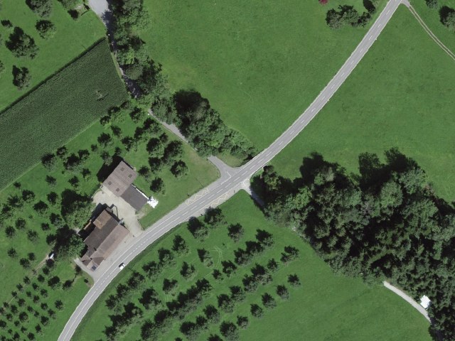 쉬운 하이킹 Waldkirch 출발 (Juggenwald 경유)