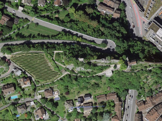 Ruine Stein-Baldegg