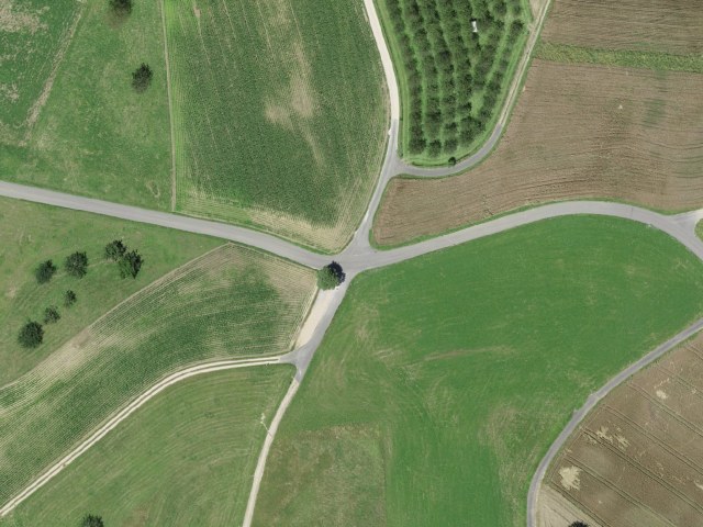 Rickenbacherhöchi – Buuseregg
