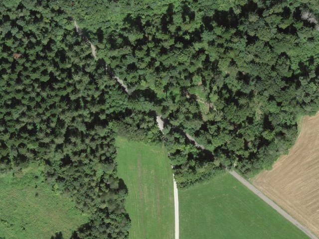 Sennhütten - Binzacher