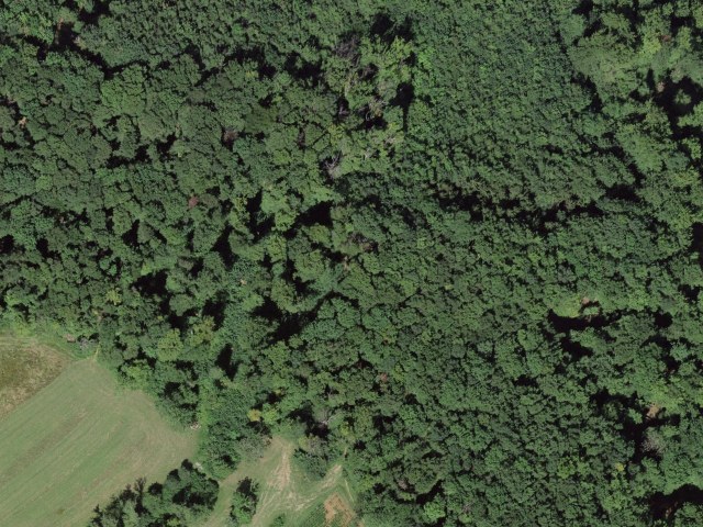 Sulzerberg - Schinberg Abz.