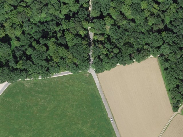 Galgen - Chlei Sunnenberg