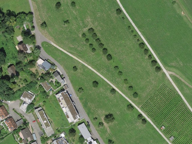 Randonnée au sommet depuis Zeiningen par Grosse Sunneberg