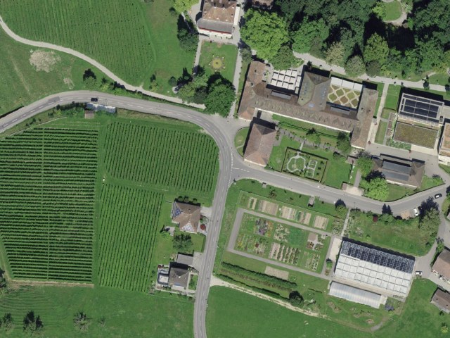 Senderismo fácil desde Arenenberg por Waleste