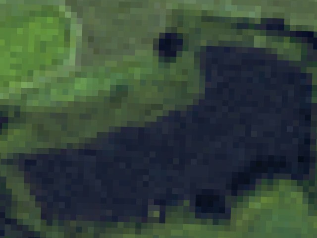 Reuteweiher