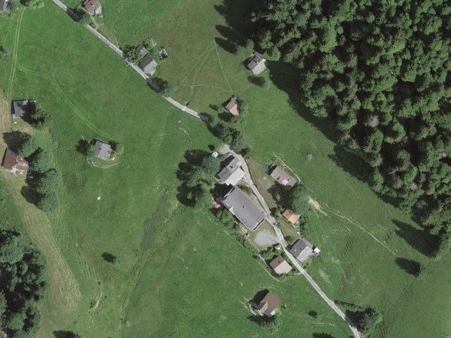 Restaurant Planalp