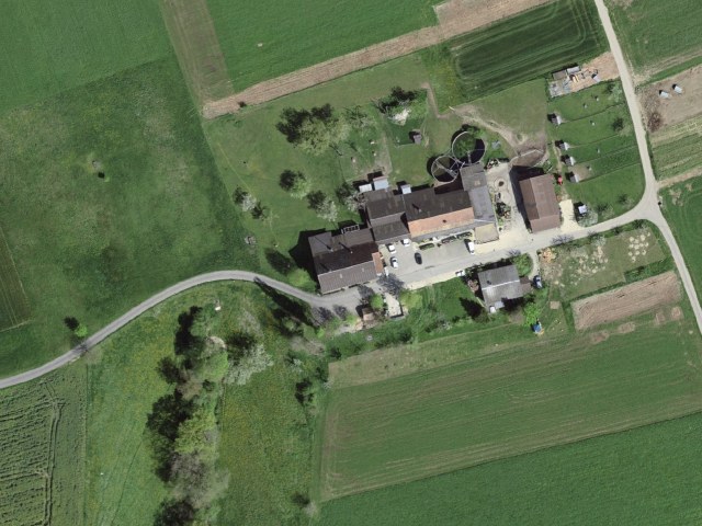 neue Zelg