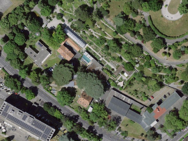 Naturéum - Jardin botanique