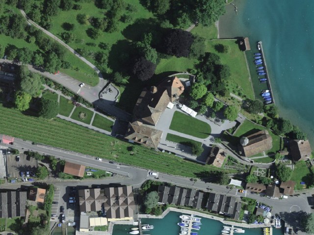 Schloss Spiez