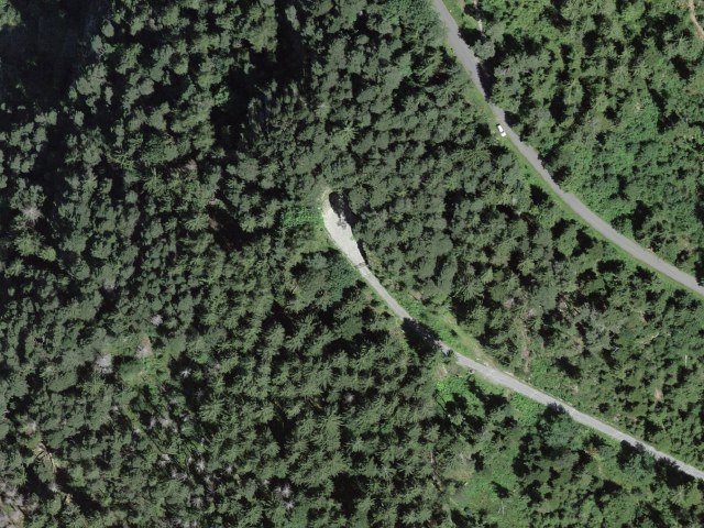 Festungsmuseum Waldbrand