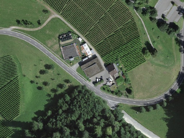 Schloss Heidegg
