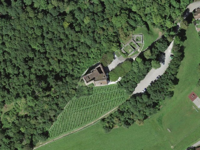 Schloss Habsburg - Museum Aargau