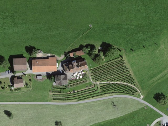 Local Museum in Dottenwil Castle