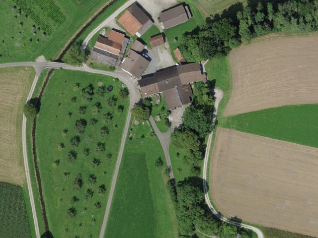 Hanfreibe
