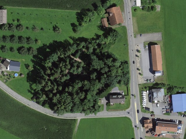 Blauhölzliwald Häggenschwil