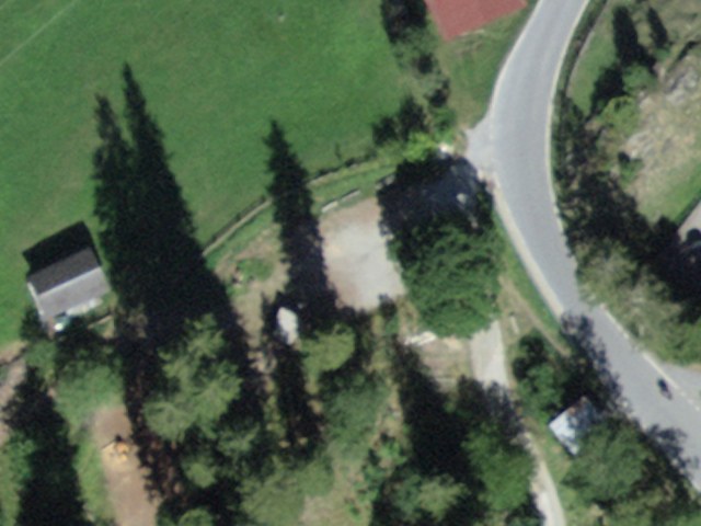 Zauberwald