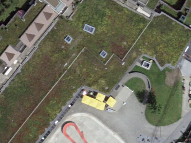 Flower Park – The fantastic alpine meadow on Alp Allmendhubel