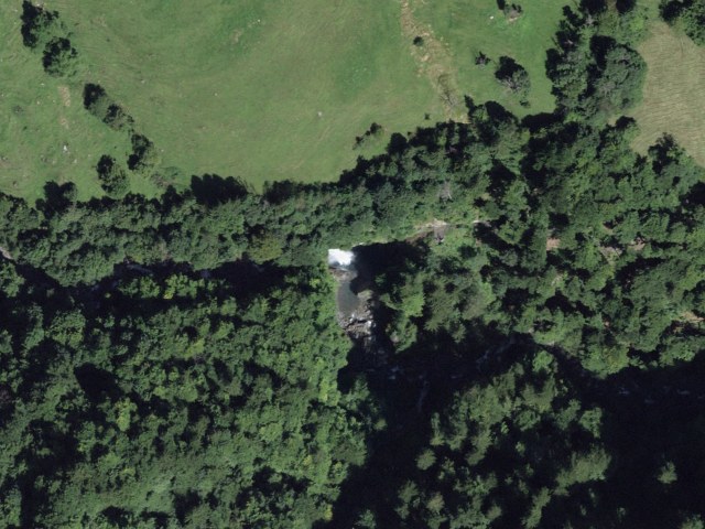 Berglistüber