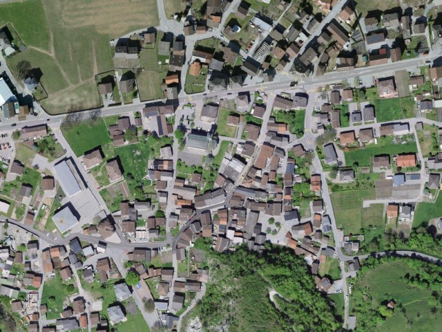 Alpe Rotingen – where cows fight