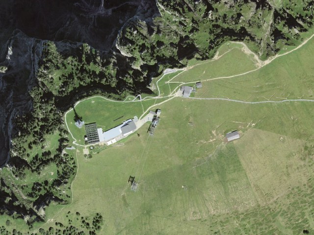 Nature and wildlife watching on the Niederhorn