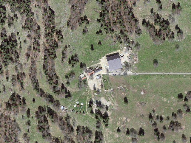 Bison-Ranch