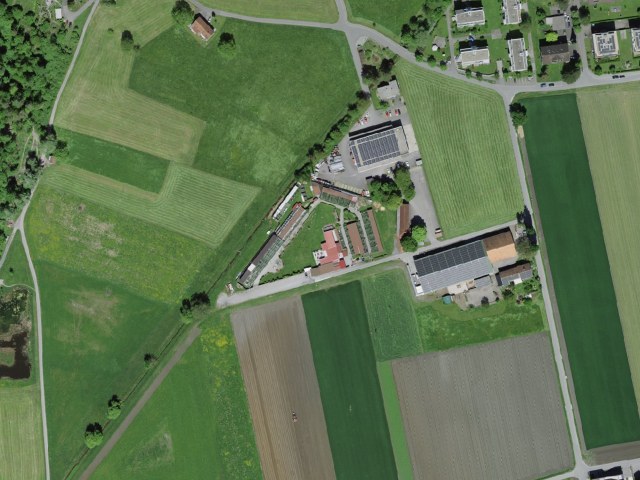 Greifvogelpark Buchs